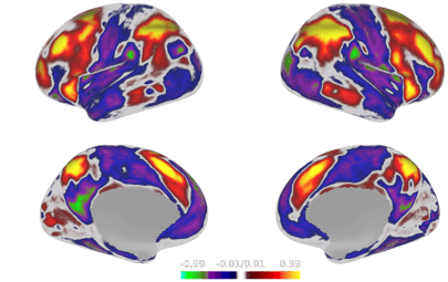 connectomics mapping the functional