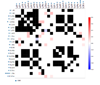 connectivity matrix brain