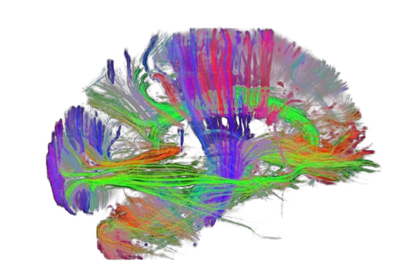 HCP parcellation generated through tractography