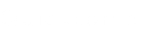 Quicktome logo _ white no badge
