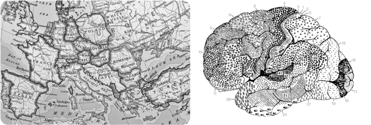 limitations of Broadmann's brain map