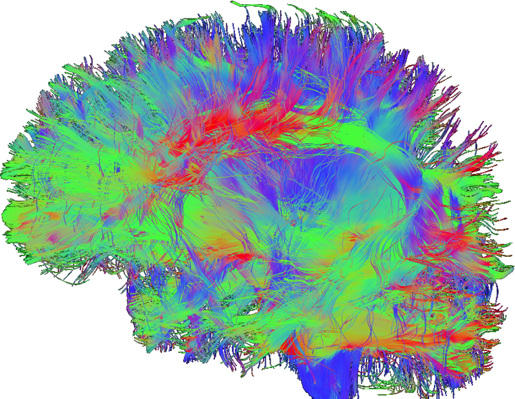 What are brain maps?