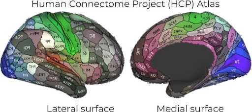 What are brain maps?
