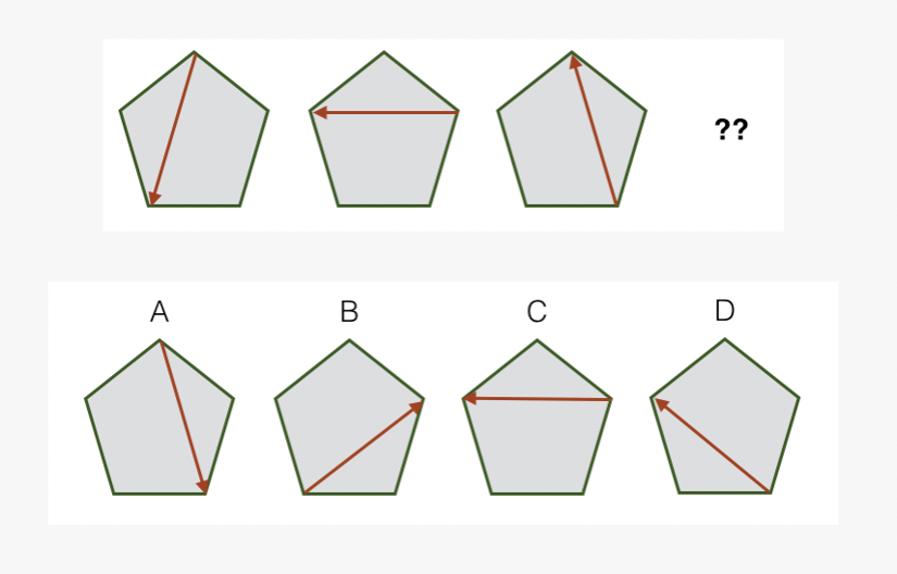 The visual system