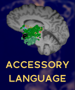 ACCESSORY_LANGUAGE_THUMBNAIL