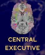 CENTRAL_EXECUTIVE_THUMBNAIL