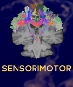 SENSORIMOTOR_THUMBNAIL