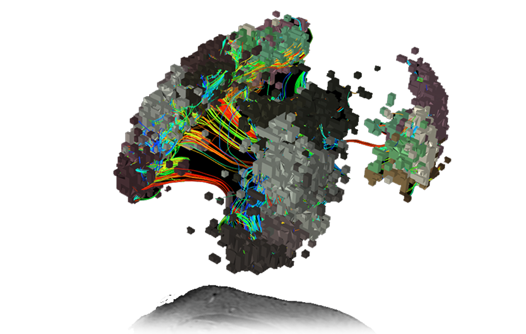 Neurologist&Research_5