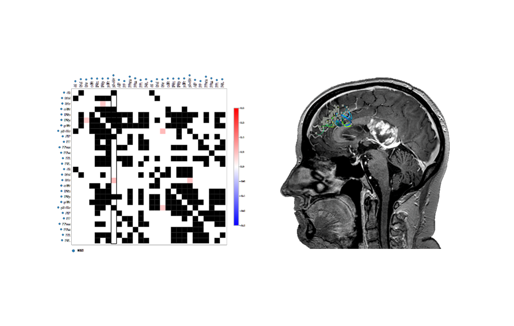 Neurologist&Research_8